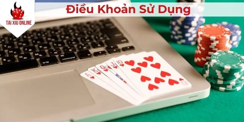 dieu-khoan-su-dung